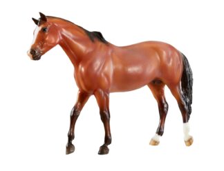 Breyer Vicki Wilson Kentucky