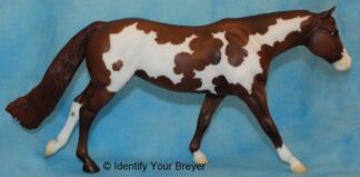 Breyer Kodi