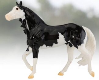Breyer Jota