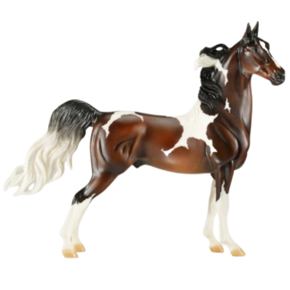 Breyer Livingstone