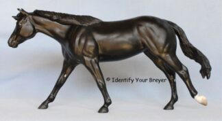 Breyer Roxy