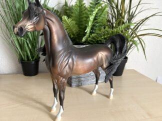 Peter Stone Arabian
